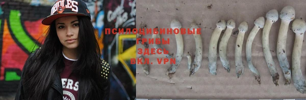 молекула духа Абдулино