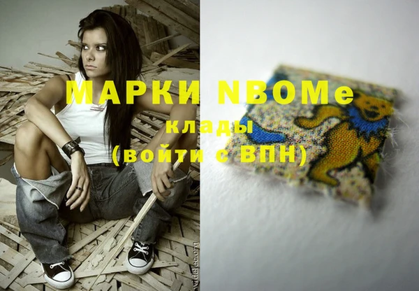 хмурый Алексин