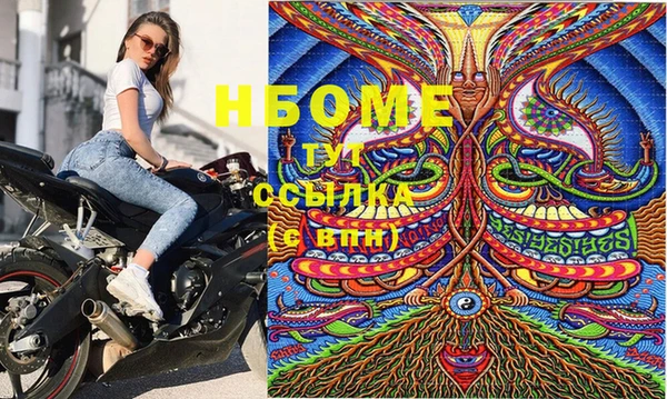 хмурый Алексин