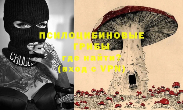 твердый Алексеевка