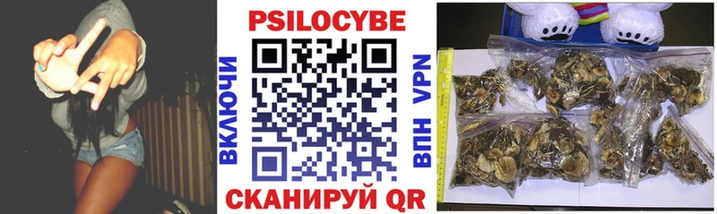 это клад Дятьково Псилоцибиновые грибы Psilocybine cubensis где купить гидра зеркало